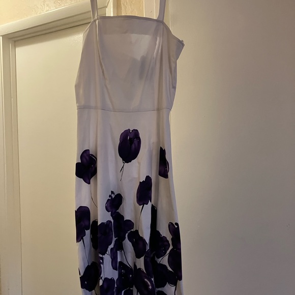 APNY - Picture 1 of 4